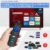 LOUTOC Replacement RC280 RC282 Compatible with TCL-Roku-TV-Remote, Universal TV Remote for Roku Hisense, Onn, Sharp, Philips TVs with Netflix, Sling, Hulu, Now Buttons